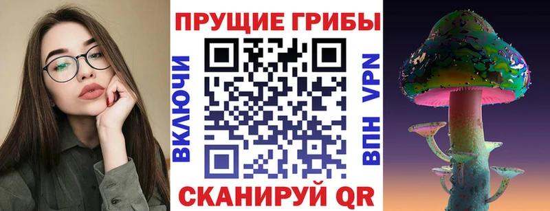 Галлюциногенные грибы Psilocybine cubensis  как найти наркотики  Ипатово 