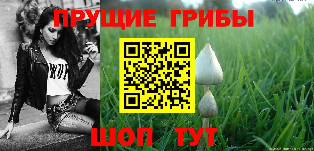 Галлюциногенные грибы мухоморы  Вход с VPN  Галлюциногенные грибы ЛСД  Ипатово 