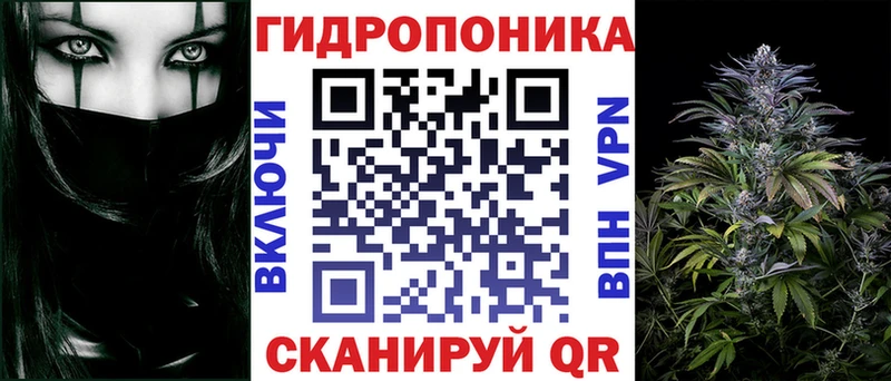 Конопля план  Ипатово 